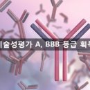 스타브릿지파트너스 이미지