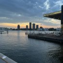 아리랑APT 이미지