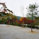 수목원캠핑장 이미지