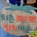 퇴촌토마토마을협동조합 이미지