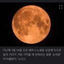 블루문을 기다리며 - 최원현 이미지