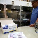 굿파파24시 반려동물 건강검진센터 이미지