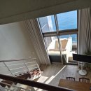 더 마루 이미지