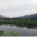 월랑 아파트 이미지