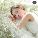디어플라워스튜디오 이미지