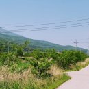 한성아파트 옆 버스정류장 이미지