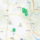 신프로카센타 이미지