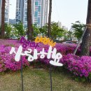 부산시민공원 이미지