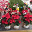 옥길농장 이미지