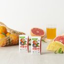 트로피칼 이미지