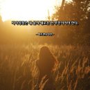 1131 | 사랑 명상 1131