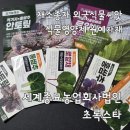건강밥상 비빔밥재료 쌈채소 초록스타 베란다텃밭에서 키워먹어요