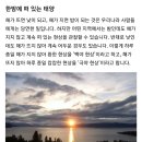 백야 주식회사 이미지