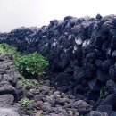 행원환해장성 이미지