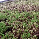 두름농장 이미지