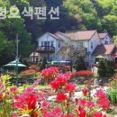 한계령오색펜션 이미지