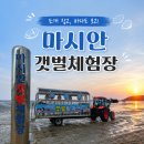 연천어촌계자율관리공동체 | 아이들과 가기 좋은 마시안 갯벌체험장 물때시간표 정보 및 조개잡이 꿀팁 후기