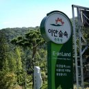이안숲속야영장 이미지