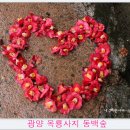의견비 | 2017 봄 전라도 여행(임실-순창-순천-광양 옥룡사지와 동백나무 숲, 운암사)