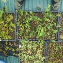 벧엘농장2 이미지