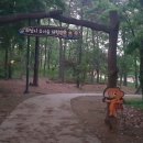 향남4호 근린공원 이미지