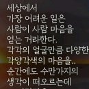 뼝아리(달걀).(계란) 출정신고함다 이미지