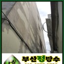 명성약국 이미지