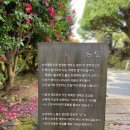 숨도 귤림성 이미지