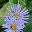 화성반월중학교 이미지