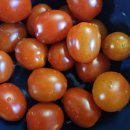 맘스터치 안성공도점 이미지