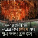 카페젠 | 카자흐스탄 여행 알마티 젠코브 성당 근처 카페 추천, Agosto Park Cafe 솔직후기(메뉴 추천)