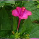 최고수학학원 이미지