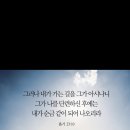 과천외국어고등학교 이미지