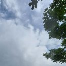 하늘정원1 - 보은군 구병길 4-24 | 하늘정원1