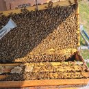 행복농장 이미지