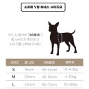 꾸미아미