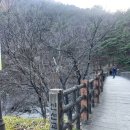 람쥐야 도토리 | 강원도 동해 삼화사 템플스테이 후기 - 현지인 투어 굿