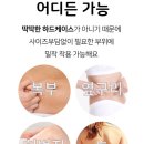 리즈비