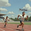 나비정보시스템 이미지