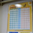 김미경소아과