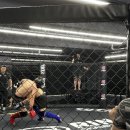 케이레슬링 MMA체육관 이미지