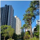 롯데캐슬부동산중개 이미지