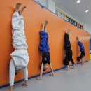 대솔경희대태권도장 이미지