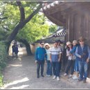 동호솔숲 이미지