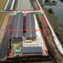 윤성태양광발전소 이미지