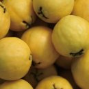 화식농장1 이미지