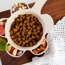 강아지랑나랑 이미지