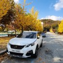 그랑블루모터스 이미지