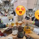 반도낚시프라자 | [공지] 홍콩 스타페리 운항정보 요금/스타의거리/템플스트리트야시장/리갈 리버사이드 호텔