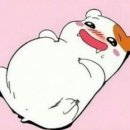 큰손 오리농장 티스토리